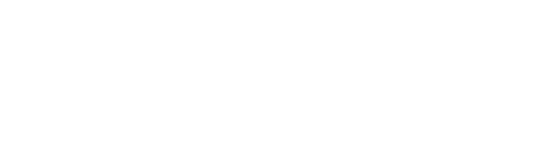 Tanzilite digital marketing agency logo